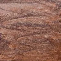 Pearl Tints Burnt Caramel 20ml (CSPTCAR)